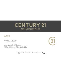 Century 21 Business Cards Package: Style #04