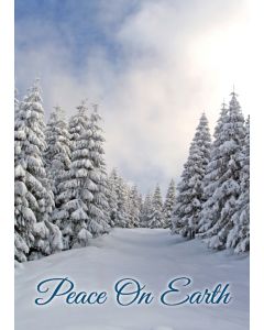 Holiday Cards: Christmas: Style HCT011