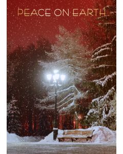 Holiday Cards: Christmas: Style HCT019