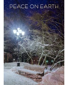 Holiday Cards: Christmas: Style HCT020