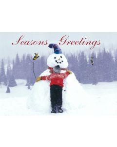 Holiday Cards: Christmas: Style HCW002