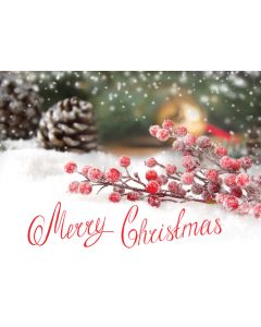 Holiday Cards: Christmas: Style HCW033