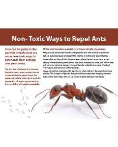 Classic Real Estate Farming Postcards: Home Maintenance Series: Style HMS007