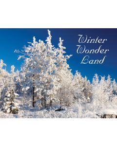 Classic Real Estate Farming Postcards: Holiday Series: Style HS001