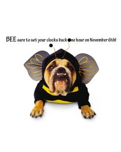 Classic Real Estate Farming Postcards: Holiday Series: Style HS013