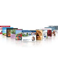 Custom Monthly Real Estate Marketing Postcards Package Deluxe