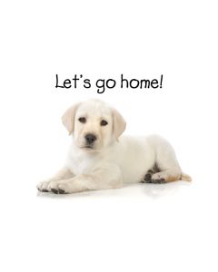 Deluxe Real Estate Farming Postcards: Pet Series: Style PTS002D