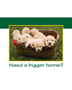 Classic Real Estate Farming Postcards: Pet Series: Style PTS003