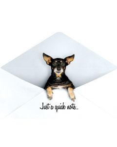 Classic Real Estate Farming Postcards: Pet Series: Style PTS012