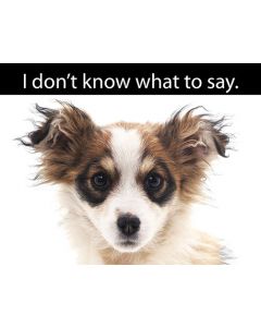 Classic Real Estate Farming Postcards: Pet Series ll: Style PTSll007