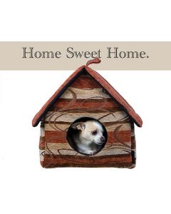 Classic Real Estate Farming Postcards: Pet Series ll: Style PTSll009