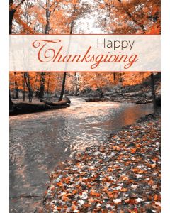 Holiday Cards: Thanksgiving: Style TCT001