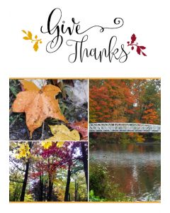Holiday Cards: Thanksgiving: Style TCT002